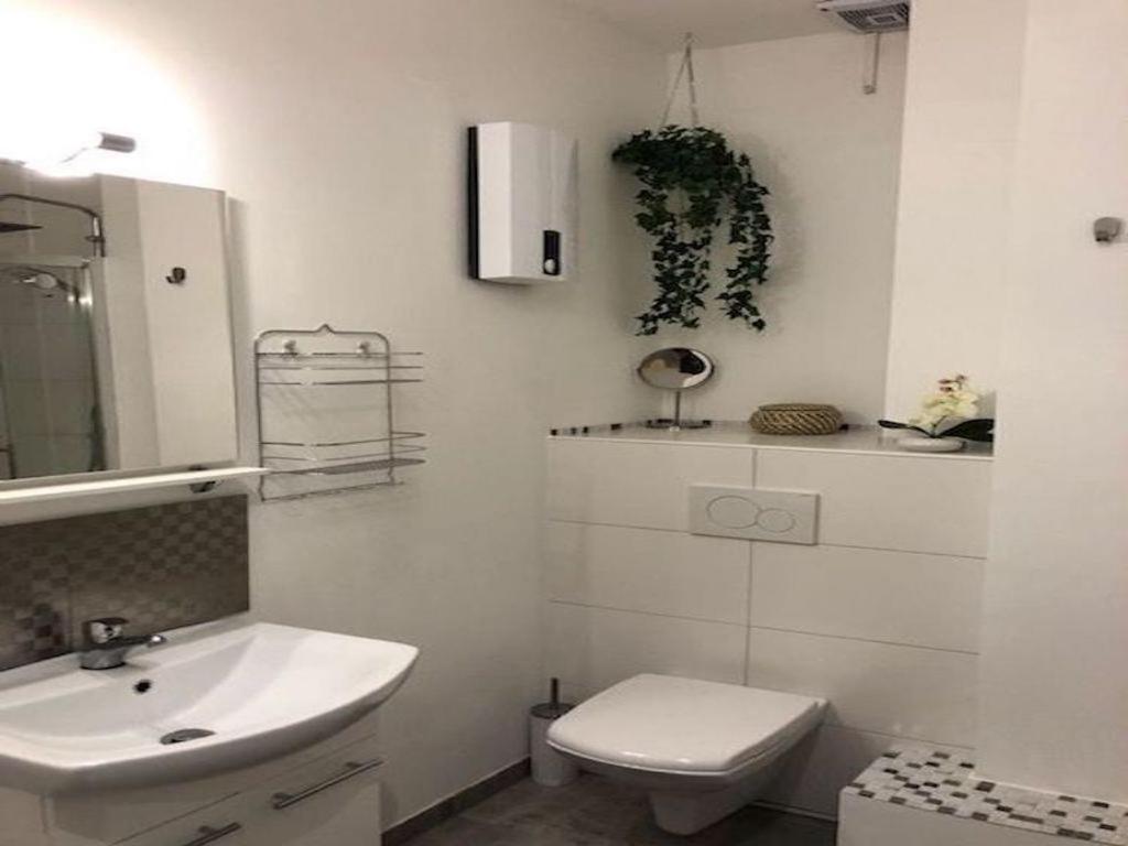 Veedel - Gemuetliche Ferienwohnung In Bester City Lage Colonia Exterior foto